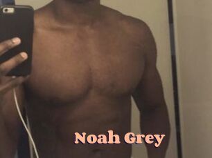 Noah_Grey