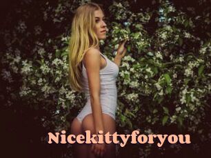 Nicekittyforyou