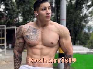 Noaharris19