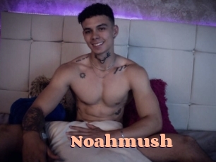 Noahmush