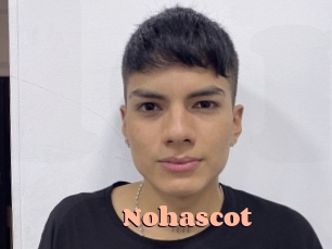 Nohascot