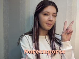 Noreengorse