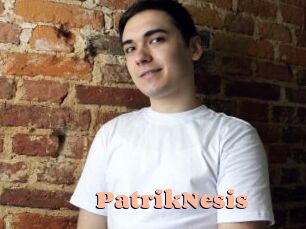 PatrikNesis