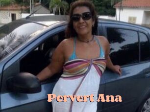 Pervert_Ana