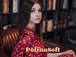 PolinaSoft