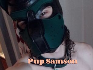 Pup_Samson