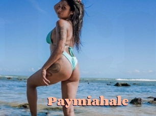 Paymiahale