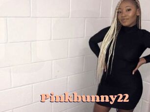 Pinkbunny22