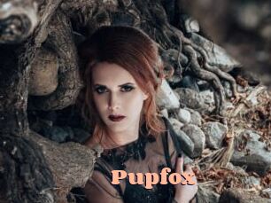 Pupfox
