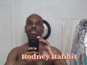 Rodney_Rabbit