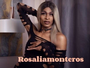 Rosaliamonteros