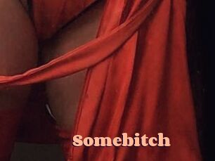 Somebitch