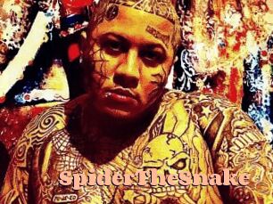 SpiderTheSnake