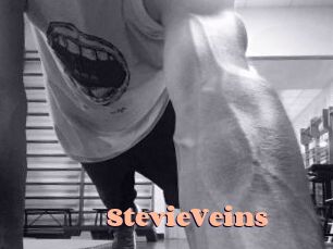 StevieVeins