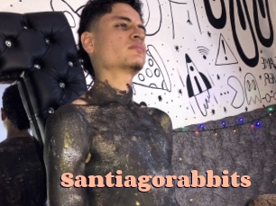 Santiagorabbits