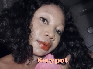 Secypot