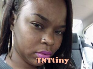 T_N_Ttiny