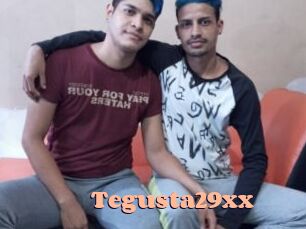 Tegusta29xx