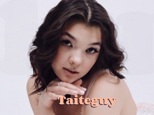 Taiteguy