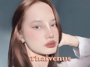 Thaivenus