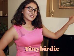 Tinybirdie