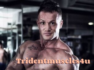 Tridentmuscles4u