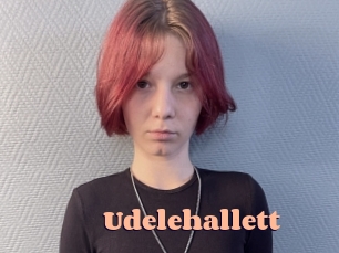 Udelehallett