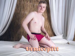 Urnicepitt