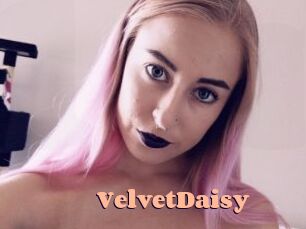 VelvetDaisy