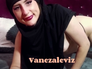 Vanezaleviz