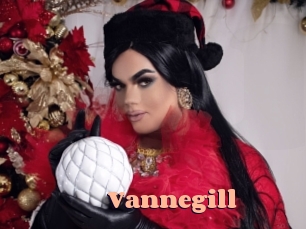 Vannegill