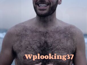 Wplooking37