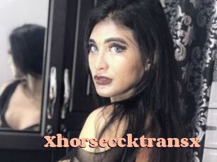 Xhorseccktransx